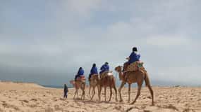 Dakhla: Camel Ride