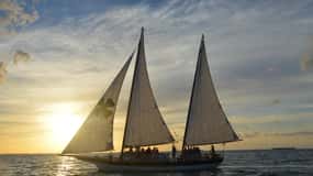 La Goleta Appledore Star de Cayo Hueso Navega al Atardecer con Champán