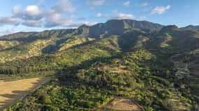 Oahu: Chocolate Farm Tour with Tasting - Kamananui Cacao