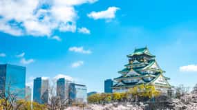Osaka : excursion privée personnalisable d'une journée en voiture