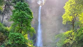 Wonderful Waterfalls and Columbia River Gorge Tour