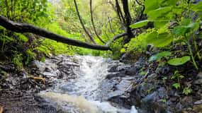 Gran Canaria: Excursión de Senderismo "Cascadas Mágicas