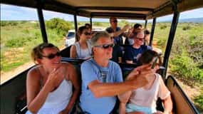 From Port Elizabeth: 5-Day Garden Route Tour to Cape Town
