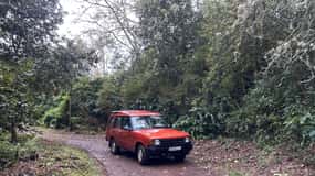 Vanuit Funchal: privétour in oostelijke of westelijke jeep