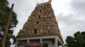 Bangalore: Private Half-Day Sightseeing Tour