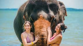 Phuket:Beach walk with elephants, rain & care. 2.5 hours