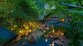 Tokyo: Onsen, Arts, and Nature Day Trip to Fuji and Hakone