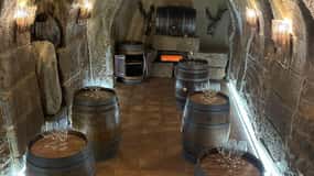 TASTING IN UNDERGROUND WINERY (DRAFT)