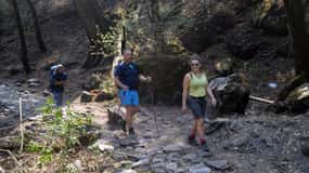 From Kathmandu: 6-Day Langtang Valley Guided Trek