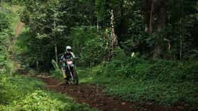 Passeio de um dia na selva em motocicleta
