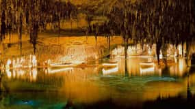Mallorca: Halvdag med naturens underverk i Drachgrottorna