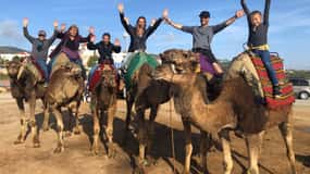 Agadir/Taghazout: Kamelturer med tedrikk og transport