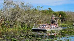 Everglades: tour en barco con transporte y entrada incluidos