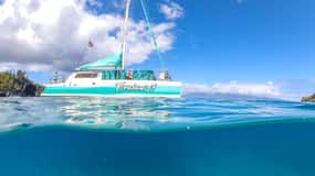Maui: Snorkeling di 5 ore sulla spiaggia di Kaanapali con pranzo BBQ e Open Bar