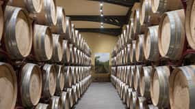 Tour and Premium wine tasting at Duca di Salaparuta