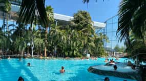 From Bucharest: VIP Trip to Therme