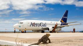 Trasferimenti aeroportuali e tour di rilievo con GPS delle Galapagos