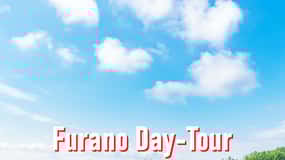 From Sapporo: 10-hour Customized Private Tour to Furano
