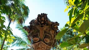 Tulum: Madre Naturaleza, Casa Tortuga & Playa del Carmen