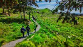 Discover Haugesund and visit a local mountain farmer