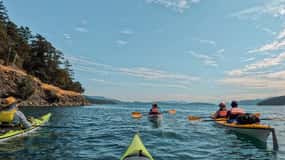 San Juan Island: 3-h Griffin Bay Tour