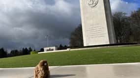 Brussels: Battle of the Bulge Day Tour with Private Guide