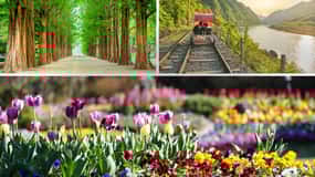 Seoul: Nami Island and Garden of Morning Calm (+Railbike)