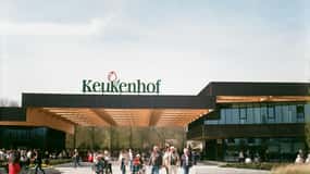 Amsterdam: Keukenhof & Countryside - With Private Driver