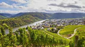 Traben-Trarbach / Bernkastel-Kues, Mosela: Senderismo enológico