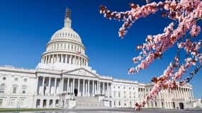 Full Day Washington DC & Mount Vernon Tour