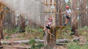 Pemberton: 1 Hour Explorer Pass with Ziplines and High Ropes