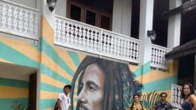 Ocho Rios: Museu Bob Marley e visita guiada a Nine Mile