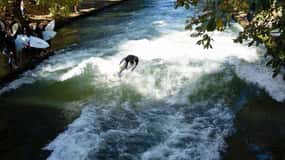 Munich: River Surfing in Munich–Surfing all you need to know