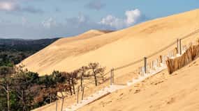 Da Bordeaux: Tour di un giorno della Baia di Arcachon e pranzo a base di ostriche