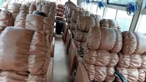 pokhara a sauraha sofá vip Autobús