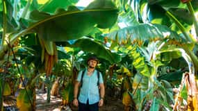Sapadere Tour with Dimçay Lunch, Cave, Tropical Fruit Garden
