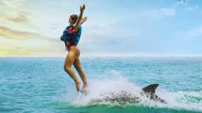 Ocho Rios: Dolphin Cove Royal Swim Private Transfers