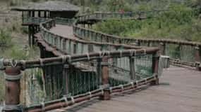 Nairobi: Safari Walk Half-Day Tour