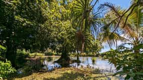 Tahiti Private Half Day Tour. Nature, history and culture
