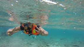 Viagem de mergulho com snorkel para a Ilha Pigeon