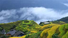 Visite privée de 6 jours : rizières en terrasses de Guilin, Fenghuang et Zhangjiajie