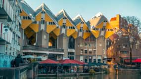 Rotterdam: Highlights & Gems Walking Tour with Dutch Local