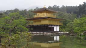 KYOTO Pagoda d'oro, Bambù Kiyomizu "Geisya" (Guida italiana)