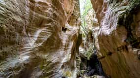 Depuis Paphos : Excursion d'une journée dans le parc national de la péninsule d'Akamas
