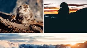 Mount Rinjani: 2D-1N Trekking Summit Sunrise Point Join Tour