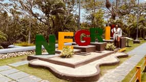 Negril: Prive snorkelen, Ricks Cafe en Margaritaville ...