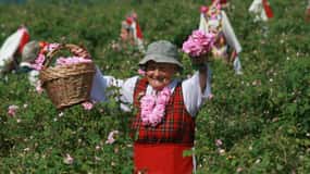 From Sofia: The Rose Valley & Koprivshtitsa 12 hrs Day Tour