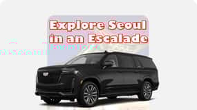 Seoul: Private & Privileged Vehicle Tour-Eng/Spanish guiding