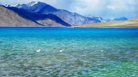 Overnight Pangong Tour From Leh With Thiksey & Shey Palace