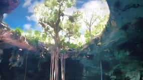 Au départ de Mérida : Visite de 4 magnifiques cenotes, tout compris